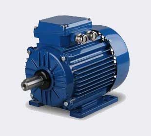 Electric Motor Manufacturers